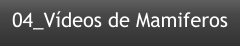 04_Vídeos de Mamiferos