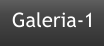 Galeria-1