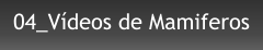 04_Vídeos de Mamiferos