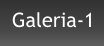 Galeria-1