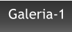 Galeria-1