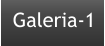 Galeria-1