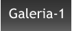 Galeria-1
