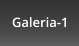 Galeria-1