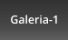 Galeria-1