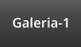 Galeria-1