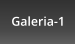 Galeria-1